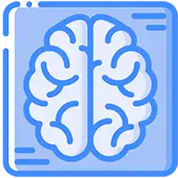 brain